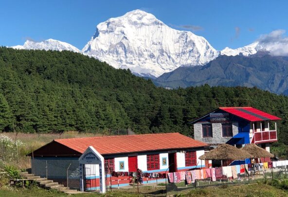 Nepal in February