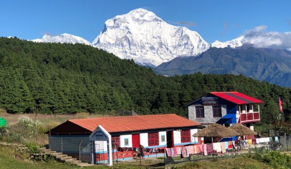 Nepal in February